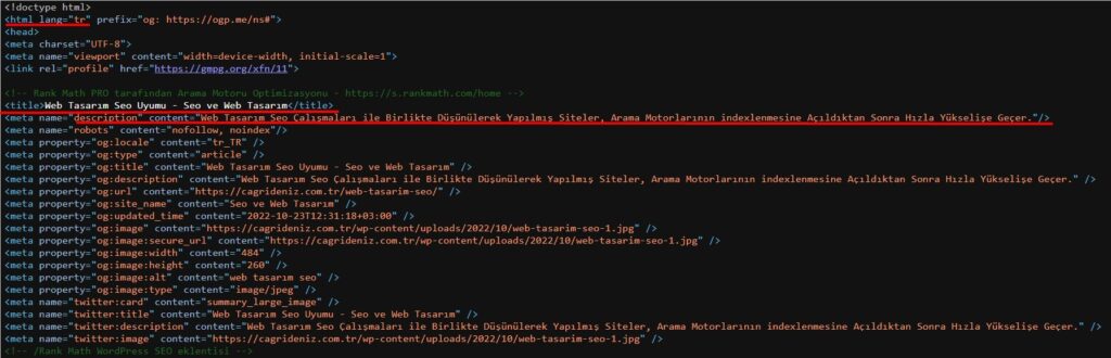 Seo Uyumlu Web Tasarım