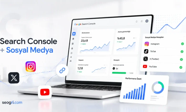 search console sosyal medya ekleme ve analizi ne işe yarar