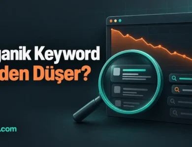 organik anahtar kelime sayısı neden, nasıl düşer